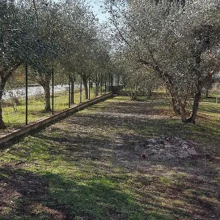 The Olive Grove Daire *