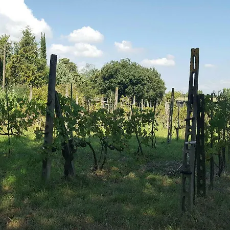 公寓 The Olive Grove *