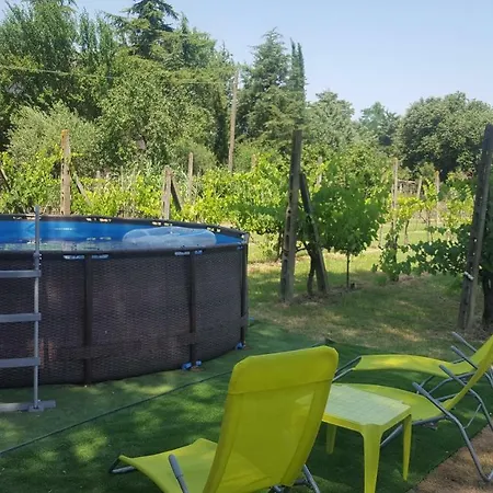 The Olive Grove
