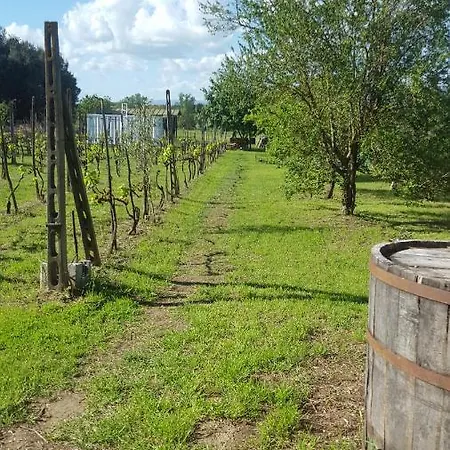 公寓 The Olive Grove 拉戈堡