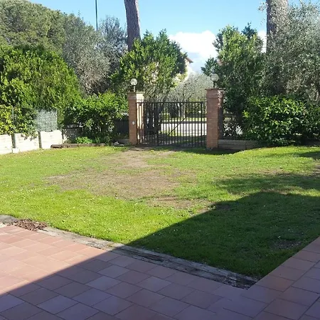 The Olive Grove Daire Castiglione del Lago