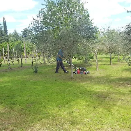 The Olive Grove * Castiglione del Lago